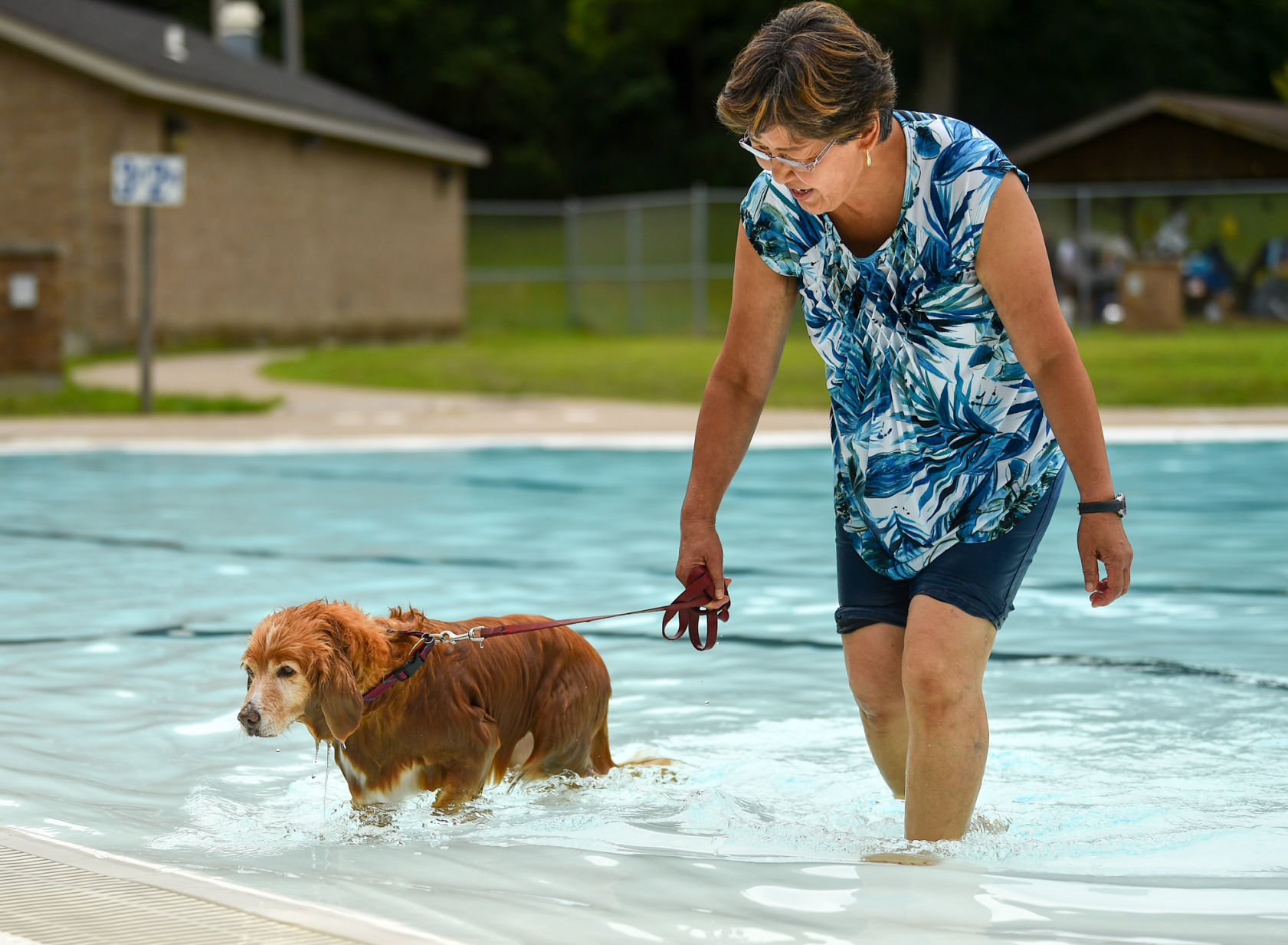 081919-mda-nws-furfriends-018a.JPG